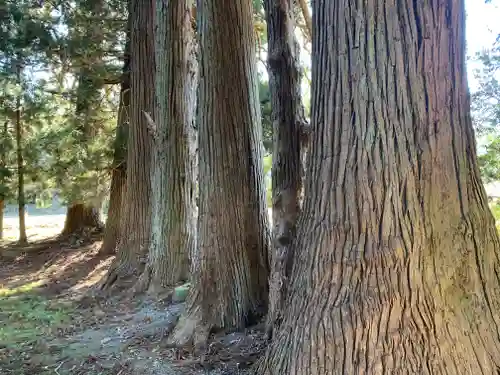 五龍地神社(福島県)
