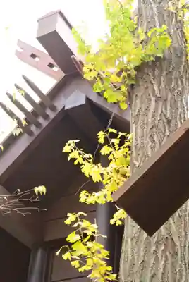 高円寺氷川神社のその他建物