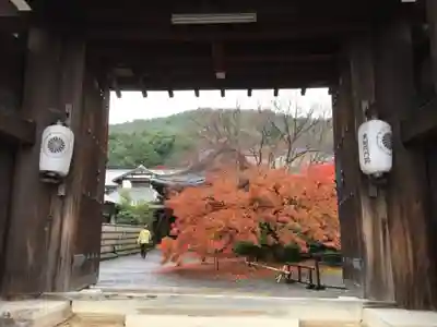 実相院門跡の山門・神門