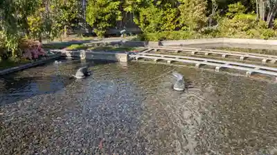鉄道神社の庭園