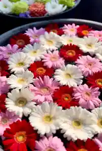 鹿島台神社(宮城県)(2023年02月08日(水) 21時05分26秒投稿)