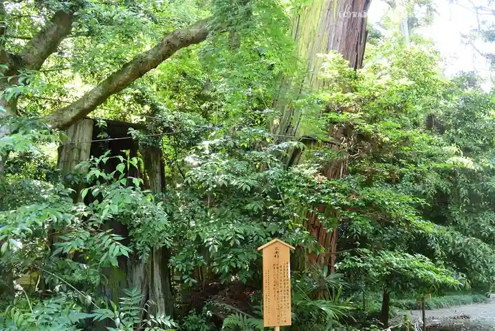 香取神宮(千葉県)