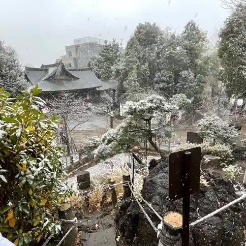 鳩森八幡神社(東京都)