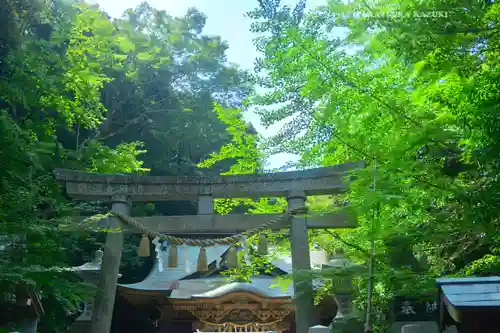 泉神社(茨城県)