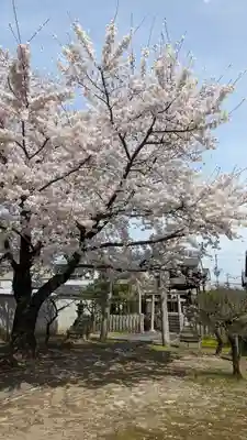 妙顯寺（妙顕寺）(京都府)