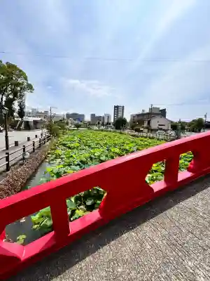 青井阿蘇神社(熊本県)
