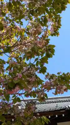 東大寺 指図堂(奈良県)