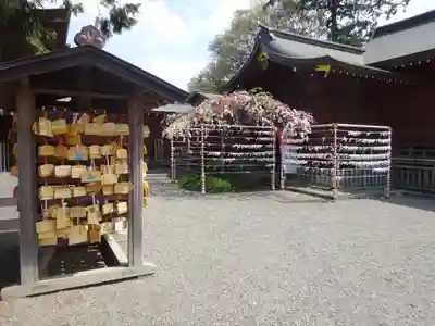 亀ケ池八幡宮の絵馬