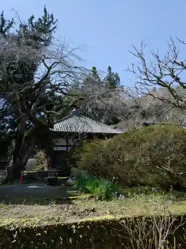 浄智寺(神奈川県)