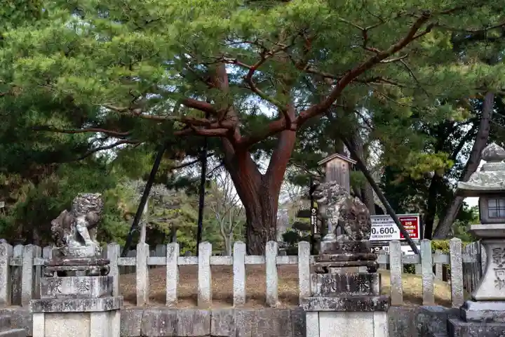 北野天満宮(京都府)