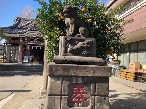 若宮八幡宮 (神奈川県)