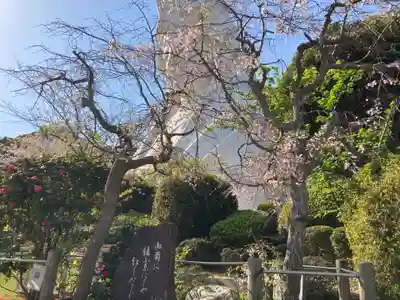 大船観音寺(神奈川県)