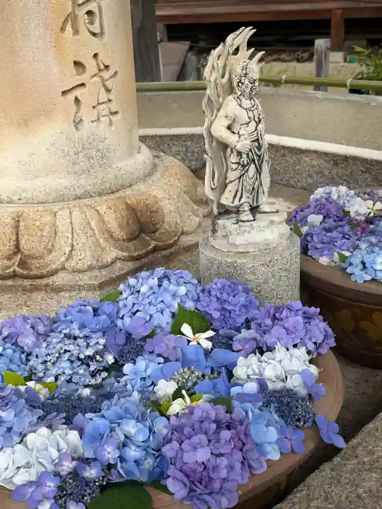 三室戸寺(京都府)