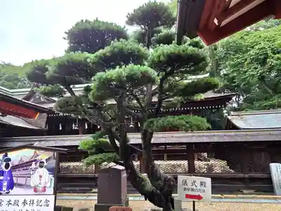 住吉神社(山口県)