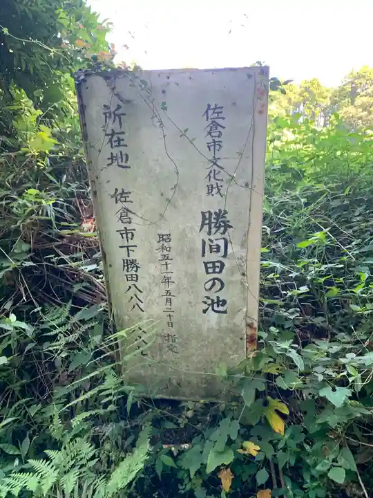 厳島神社(千葉県)
