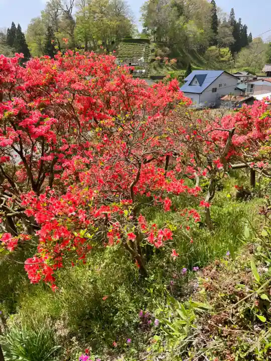 天王神社の自然