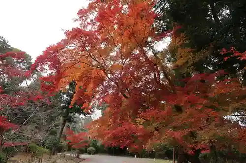 園城寺（三井寺）(滋賀県)