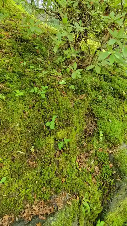 東福禅寺(東福寺)の庭園