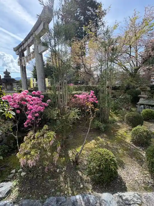 神田神社の{uncategorized: "未分類", other: "その他", undefined: "問題あり", building: "その他建物", grave: "お墓", sacred_gate: "鳥居", guardian: "狛犬", statue: "像", buddha: "仏像", history: "歴史", nature: "自然", garden: "庭園", animal: "動物", pagoda: "塔", temizu: "手水舎", mountain_gate: "山門・神門", sanctuary: "本殿・本堂", subordinate: "末社・摂社", art: "芸術", scenery: "景色", jizo: "地蔵", ema: "絵馬", goshuin: "御朱印", omikuji: "おみくじ", items: "授与品その他", amulet: "お守り", goshuincho: "御朱印帳", eats: "食事", festival: "お祭り", votive_dance: "神楽", shichigosan: "七五三参", wedding: "結婚式", experience: "体験その他", initially: "初詣", around: "周辺", anti_infection: "感染症対策"}
