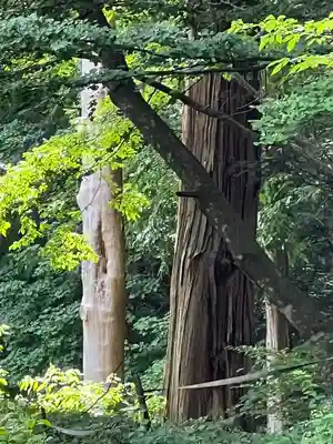 諏訪大社(長野県)