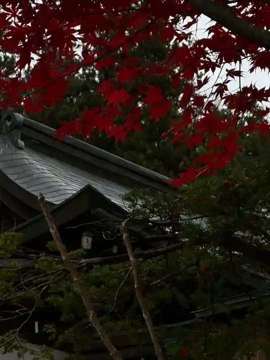 諏訪大社(長野県)