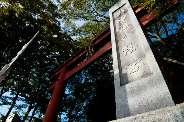 世田谷八幡宮(東京都)