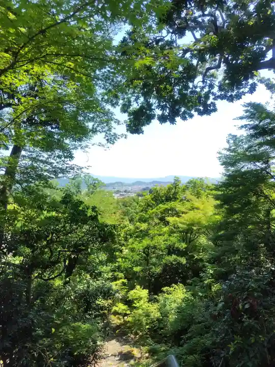 常寂光寺の{uncategorized: "未分類", other: "その他", undefined: "問題あり", building: "その他建物", grave: "お墓", sacred_gate: "鳥居", guardian: "狛犬", statue: "像", buddha: "仏像", history: "歴史", nature: "自然", garden: "庭園", animal: "動物", pagoda: "塔", temizu: "手水舎", mountain_gate: "山門・神門", sanctuary: "本殿・本堂", subordinate: "末社・摂社", art: "芸術", scenery: "景色", jizo: "地蔵", ema: "絵馬", goshuin: "御朱印", omikuji: "おみくじ", items: "授与品その他", amulet: "お守り", goshuincho: "御朱印帳", eats: "食事", festival: "お祭り", votive_dance: "神楽", shichigosan: "七五三参", wedding: "結婚式", experience: "体験その他", initially: "初詣", around: "周辺", anti_infection: "感染症対策"}