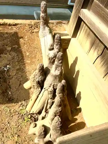 羽成山　　木造薬師如来坐像(茨城県)