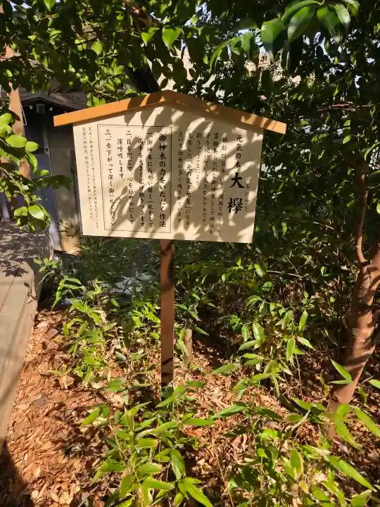 鎮守氷川神社の{uncategorized: "未分類", other: "その他", undefined: "問題あり", building: "その他建物", grave: "お墓", sacred_gate: "鳥居", guardian: "狛犬", statue: "像", buddha: "仏像", history: "歴史", nature: "自然", garden: "庭園", animal: "動物", pagoda: "塔", temizu: "手水舎", mountain_gate: "山門・神門", sanctuary: "本殿・本堂", subordinate: "末社・摂社", art: "芸術", scenery: "景色", jizo: "地蔵", ema: "絵馬", goshuin: "御朱印", omikuji: "おみくじ", items: "授与品その他", amulet: "お守り", goshuincho: "御朱印帳", eats: "食事", festival: "お祭り", votive_dance: "神楽", shichigosan: "七五三参", wedding: "結婚式", experience: "体験その他", initially: "初詣", around: "周辺", anti_infection: "感染症対策"}
