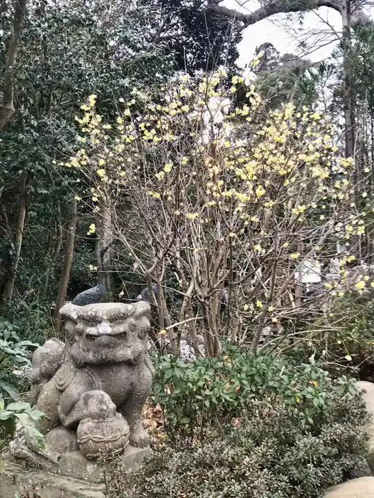 鶴峯八幡宮(千葉県)