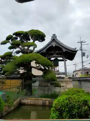 西法寺(大阪府)