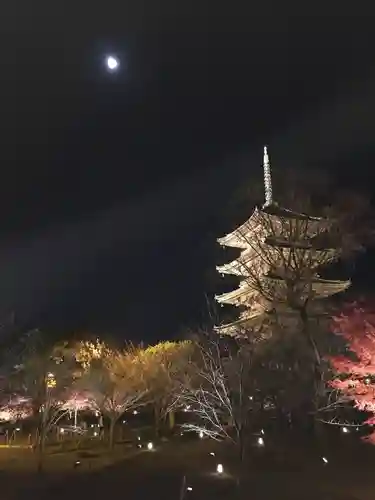 東寺（教王護国寺）(京都府)