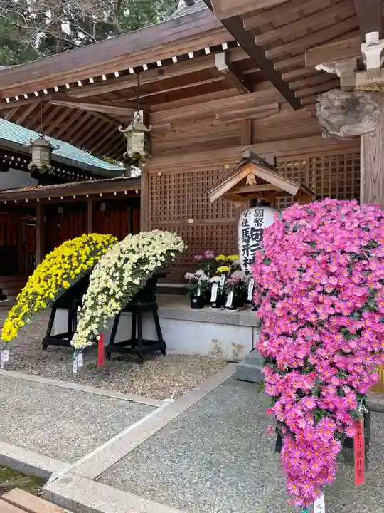 駒形神社の体験その他