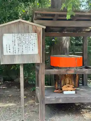 今宮神社(京都府)