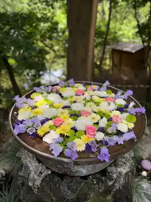 武蔵一宮氷川神社の手水舎