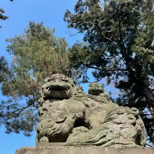 天沼八幡神社の狛犬