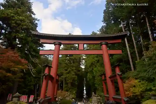 北口本宮冨士浅間神社の鳥居