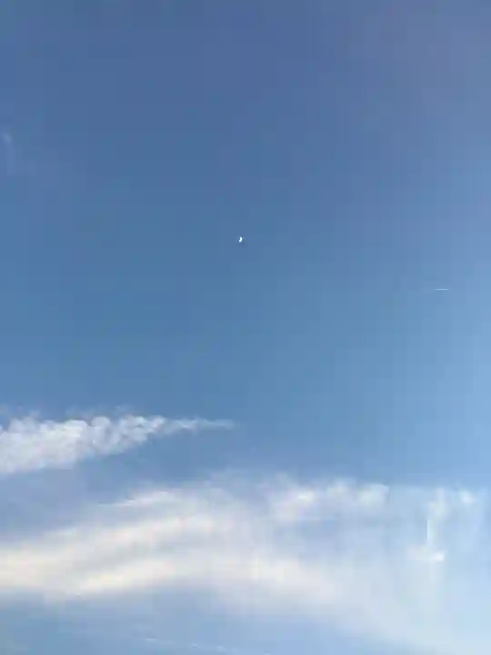 田縣神社(愛知県)