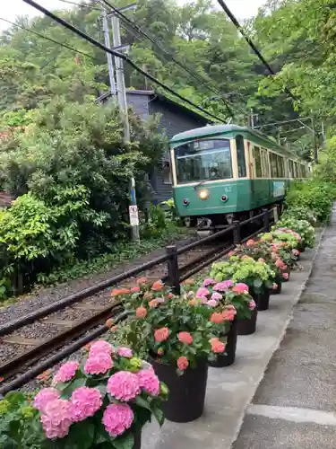 御霊神社の周辺