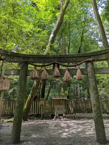 椿大神社の鳥居