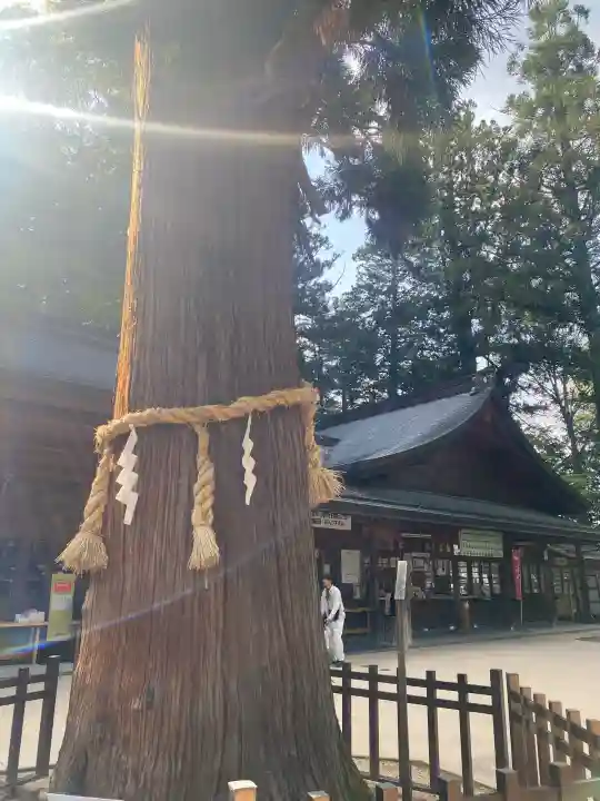 穂高神社本宮(長野県)
