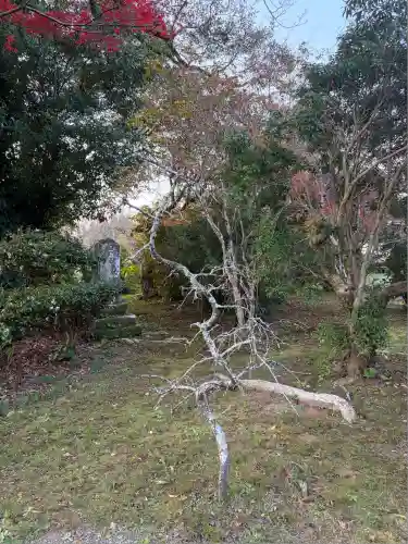 王楽寺(宮崎県)