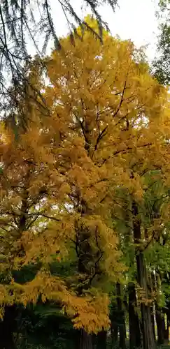 増上寺塔頭 三縁山 宝珠院の周辺