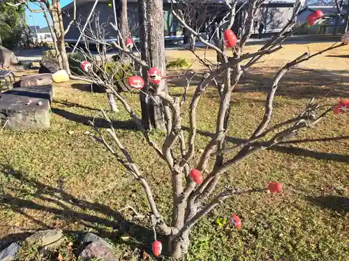 大安寺(奈良県)