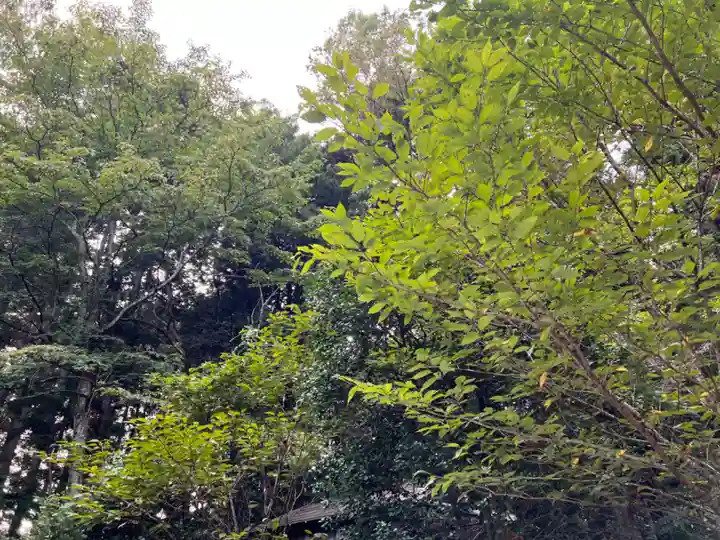 大宮温泉神社(栃木県)