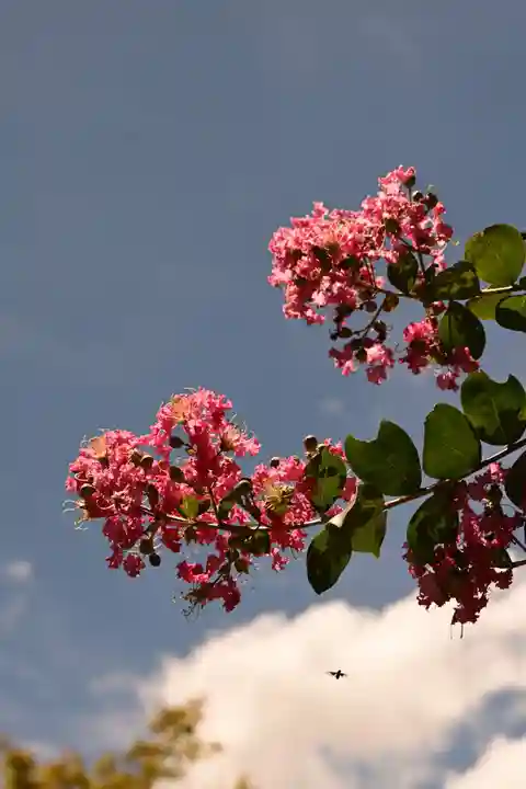 宝筐院(京都府)