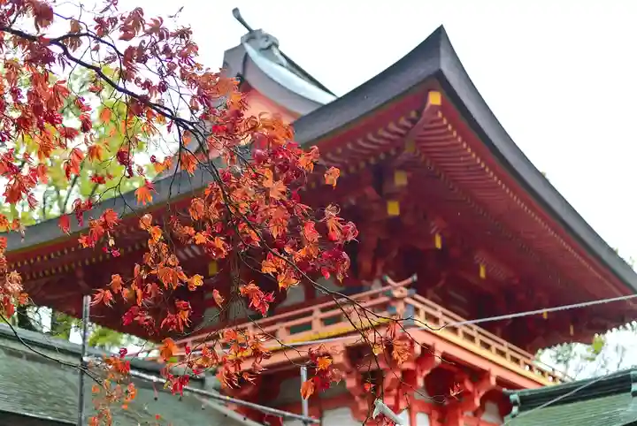武蔵一宮氷川神社(埼玉県)