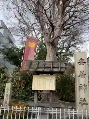 安居神社の建物その他