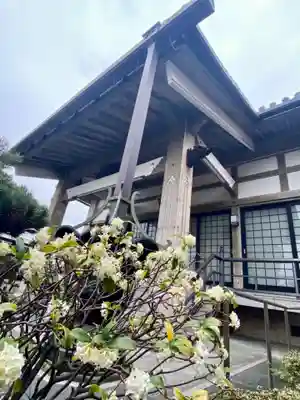 恋塚浄禅寺(京都府)