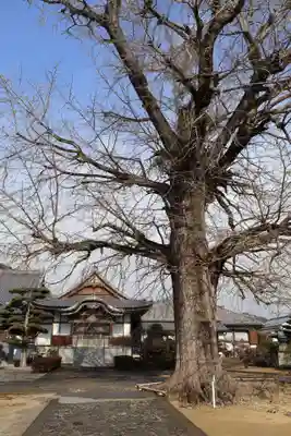 地蔵寺(徳島県)